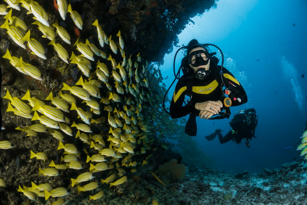 Exploración en aguas abiertas